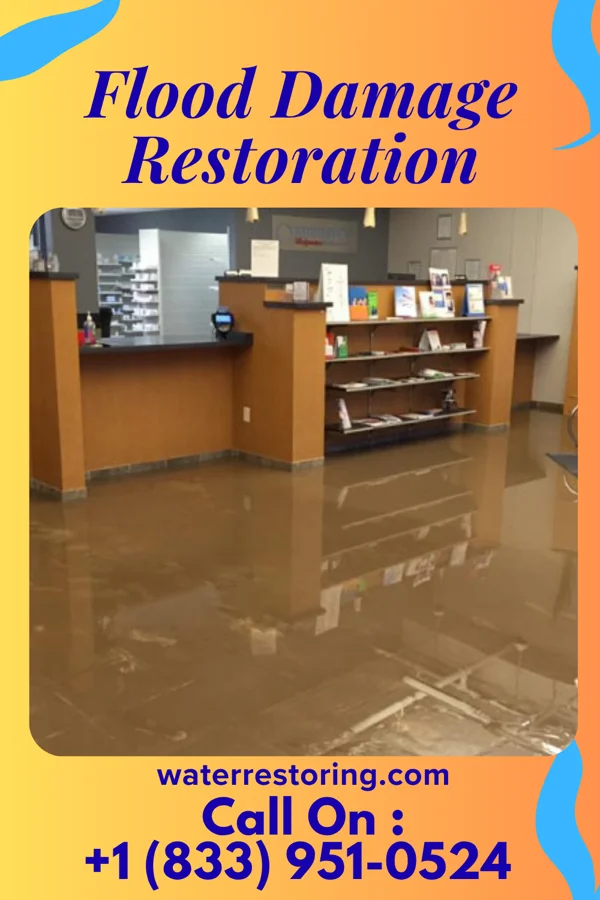 Flood Damage Restoration in Hillsboro, MD