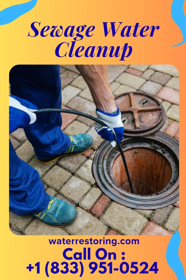 Sewage Water Cleanup in Hillsboro, MD